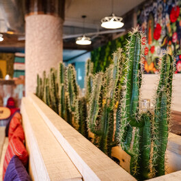 3 Amigos Mexican Restaurant