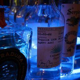 Agave RestoMontreal.ca