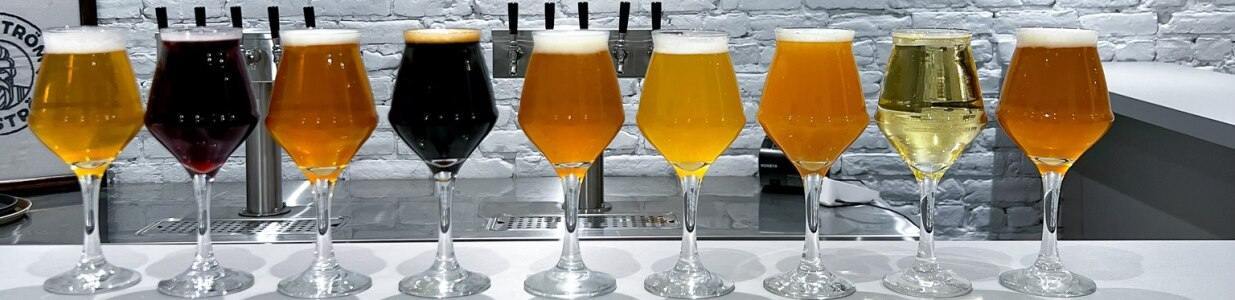 Bar Judinstrom Cover Image