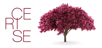 Photos of Cerise Buvette, Ahuntsic-Cartierville - Montreal