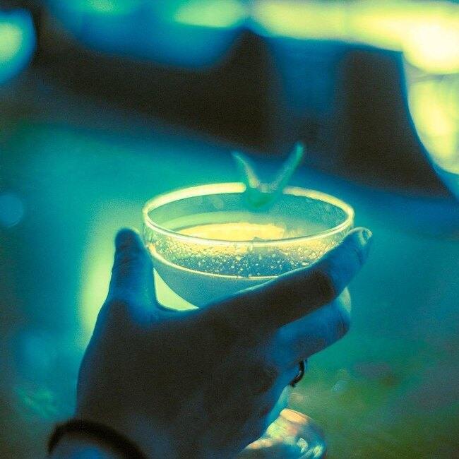Club Pelicano | Restaurant Nightlife Montréal | Restaurant à Cocktails Montréal