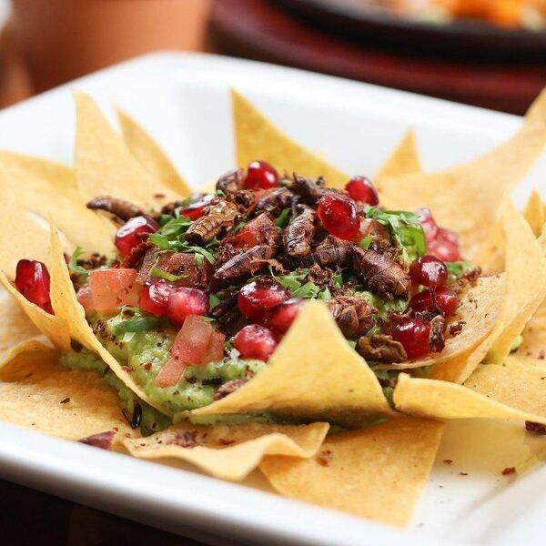 El Sabor de Mexico - Restaurant Mexicaine à Verdun, Montréal