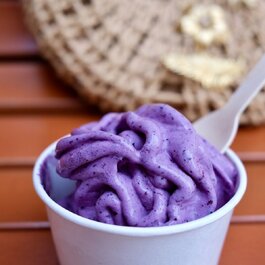 FROZIO Sorbet & Gelato Artisanaux - Restaurants de Montréal
