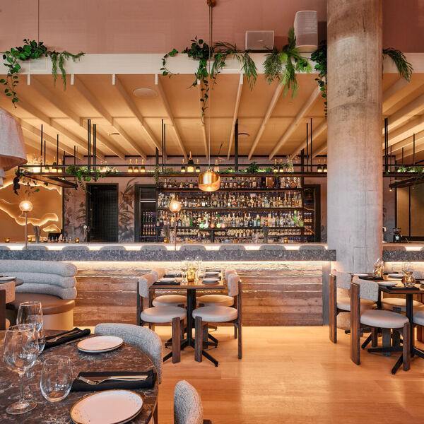 India Rosa Dix30 Restaurant Brossard, QC