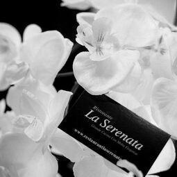 Photo 9 - La Serenata RestoMontreal.ca