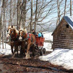 Cabane &agrave; Sucre La Sucrerie Blouin - Regional, Creative, Bor&eacute;al Restaurants in Quebec