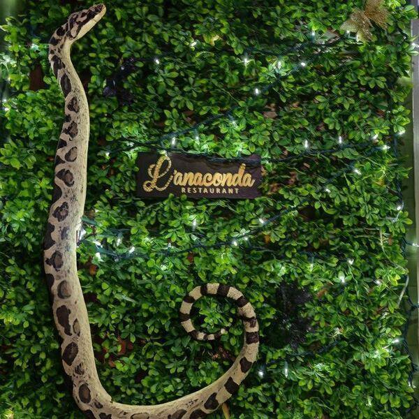 L'Anaconda Restaurant - Restaurant Péruvienne à Ahuntsic-Cartierville, Montréal