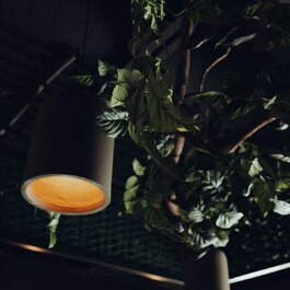 Le N'OR Bistro Chic RestoMontreal.ca