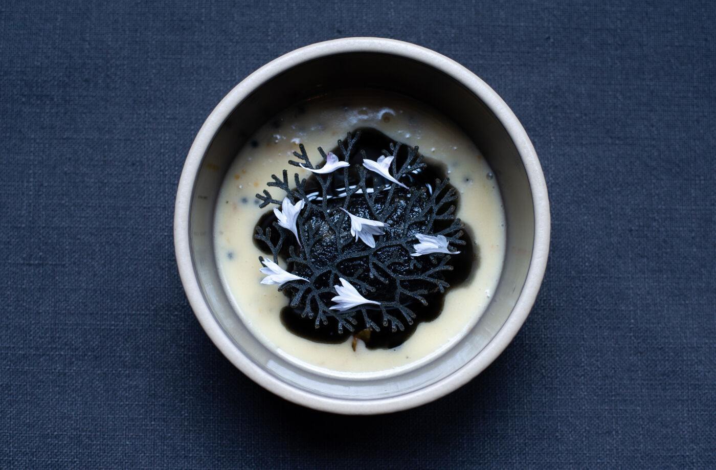 Offres et menus spéciaux - Restaurants Québec