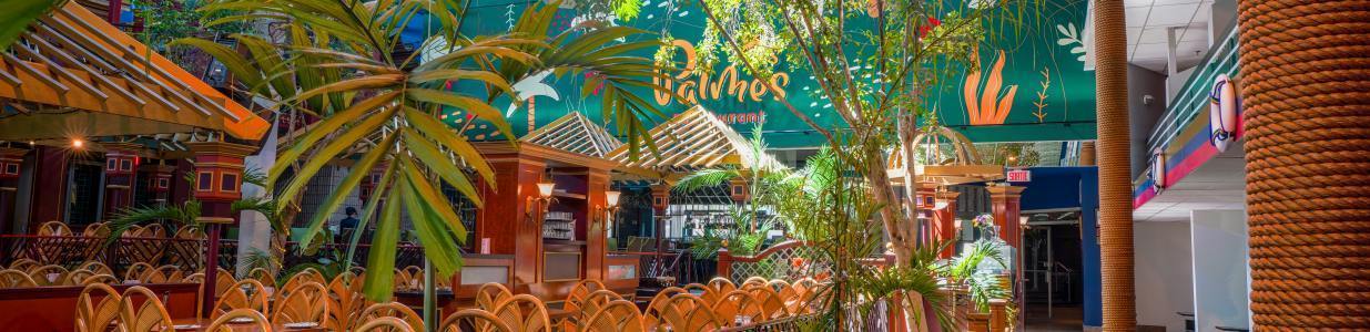 Les Palmes Cover Image