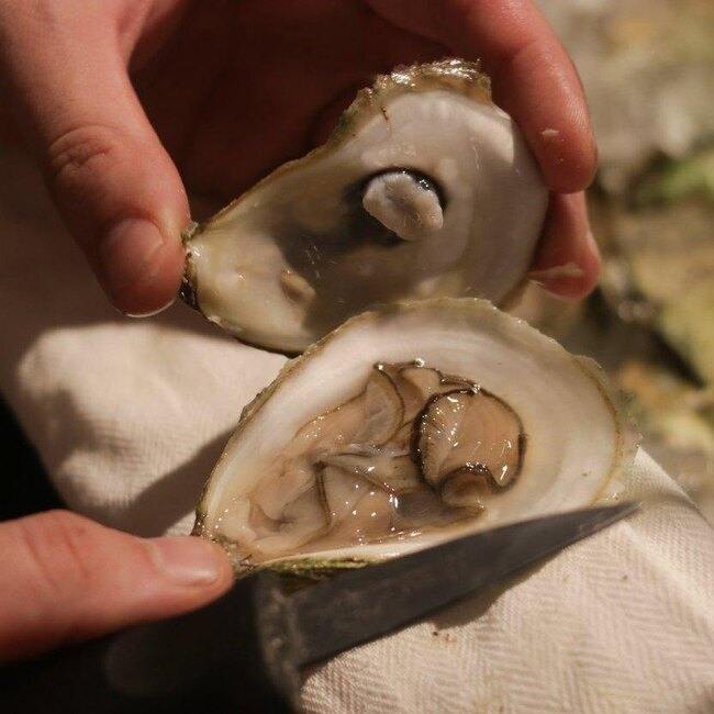 Mignonette - Restaurant Marché à Quartier des Spectacles, Montréal