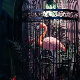 Muze Lounge & Terrasse RestoMontreal.ca