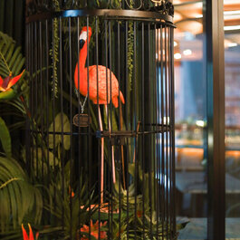Muze Lounge & Terrasse RestoMontreal.ca
