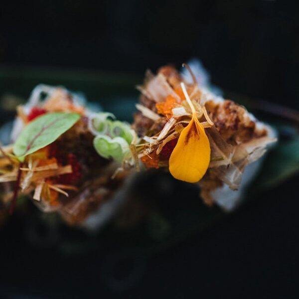 Niji Sushi Bar Restaurant