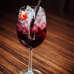 Plaza Martini Grill RestoMontreal.ca