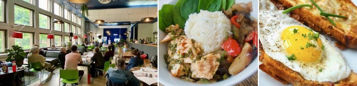 Robin des Bois Cover Image