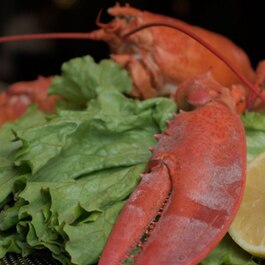 Sterlings Steakhouse & Bar RestoMontreal.ca