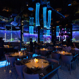 Taiyo Cité RestoMontreal.ca