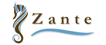 Photos of Zante, Downtown - Montreal