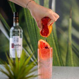 ZIBO! Restaurant-Bar RestoMontreal.ca